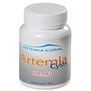 Artemia Koral Artemia cysts PROFI +90%