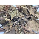 Onlineaquarium spullen Walnut leaf cut