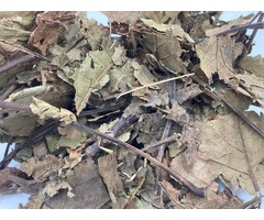 Onlineaquarium spullen Walnut leaf cut