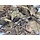 Walnut leaf cut