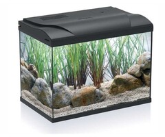 HS-aqua HS-aqua aquarium coldy 20 zwart LED