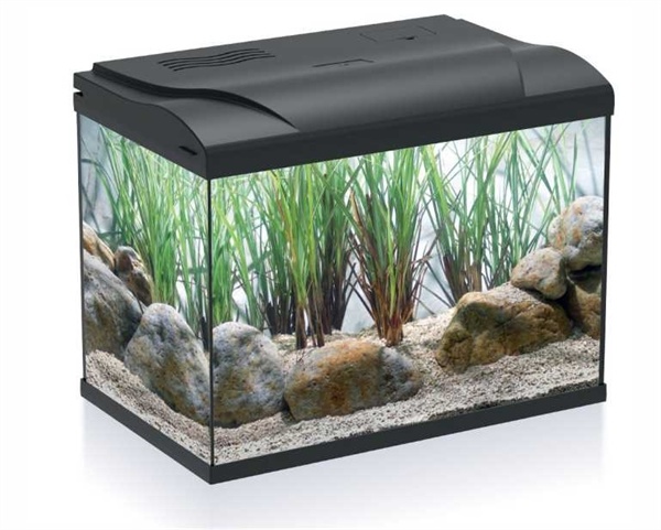 HS-aqua aquarium 20 zwart LED - Onlineaquariumspullen