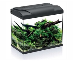 HS-aqua HS-aqua aquarium platy 30 zwart LED