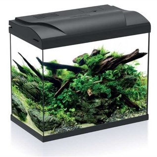 HS-aqua HS-aqua aquarium platy 30 black LED