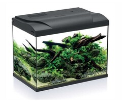 HS-aqua HS-aqua aquarium platy 50 black LED