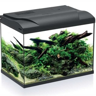 HS-aqua HS-aqua aquarium platy 50 black LED