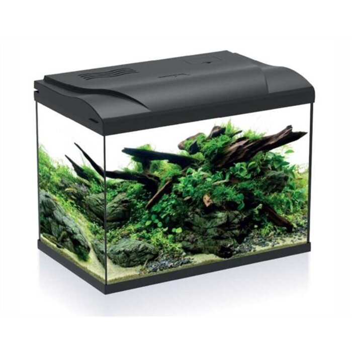 HS-aqua HS-aqua aquarium platy 50 zwart LED
