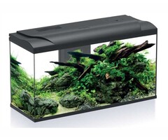 HS-aqua HS-aqua aquarium platy 110 zwart LED