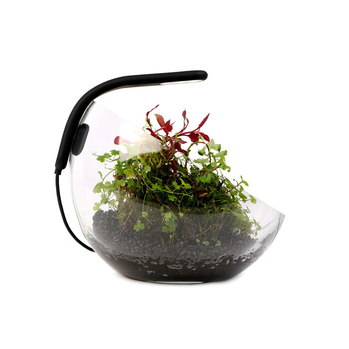 Collar AquaLighter Pico Soft 10/20