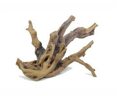 HS-aqua Blue Belle Pacific Driftwood