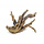 Blue Belle Pacific Driftwood