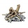 Blue Belle Pacific Driftwood