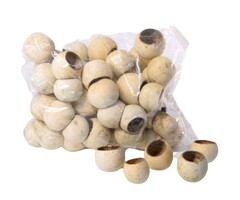 Onlineaquarium spullen Bell cup 5-7cm