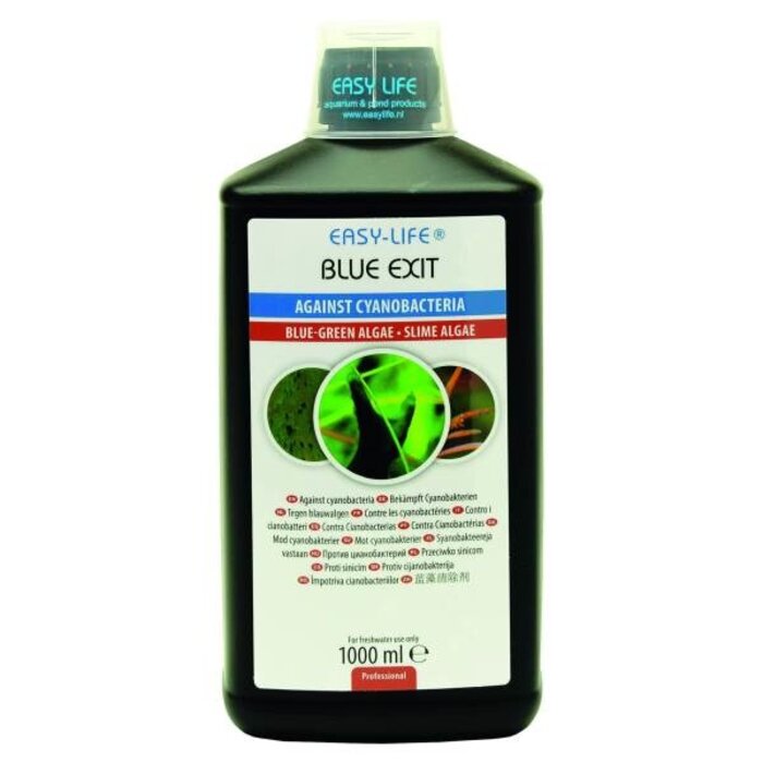 Easy-Life Easy-Life blue exit