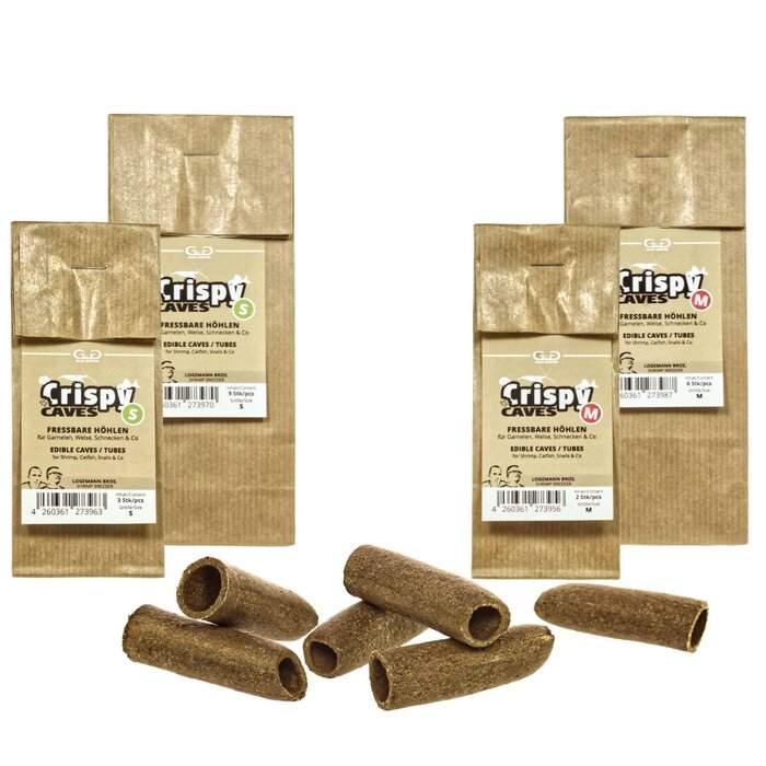 GlasGarten GlasGarten Crispy Caves Medium