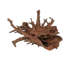 HS-aqua HS-aqua Carbo Root