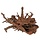 HS-aqua Carbo Root
