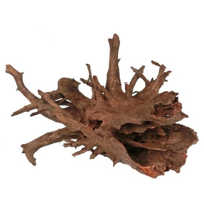 HS-aqua HS-aqua Carbo Root