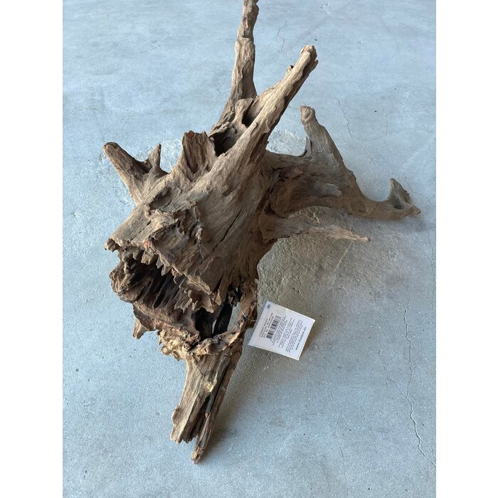 HS-aqua HS-aqua Carbo Root
