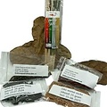 Food and combination packs