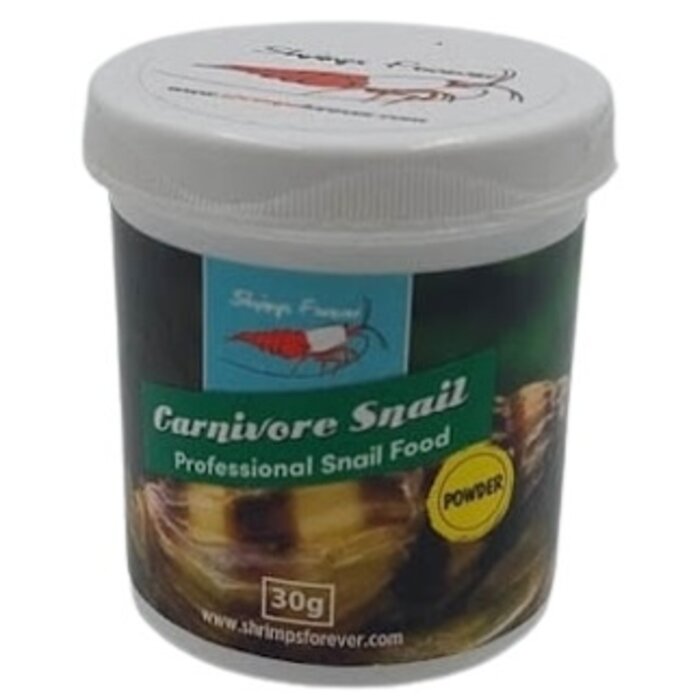 Shrimps forever Shrimps Forever Carnivore Snail