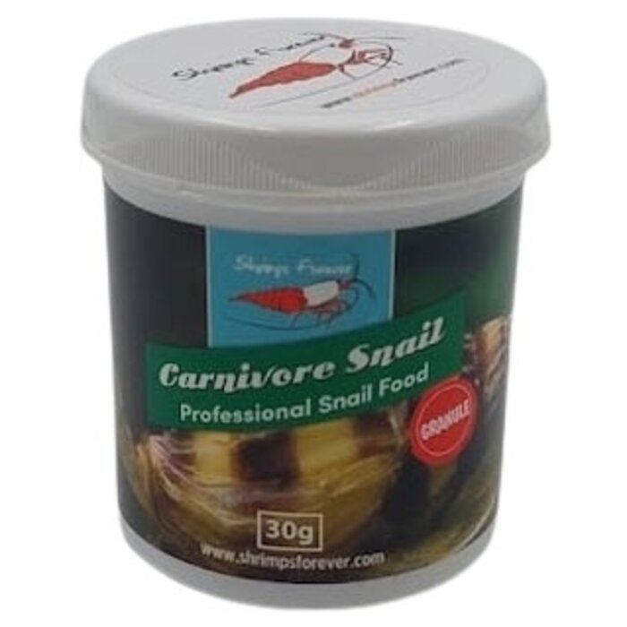 Shrimps forever Shrimps Forever Carnivore Snail