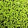 Salvinia natans