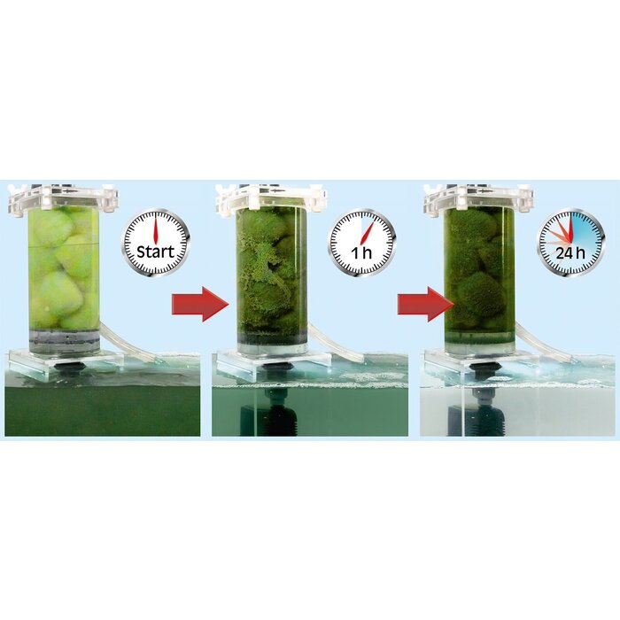 Sera Sera Crystal clear