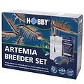 Artemia