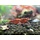 Red fire shrimp - group of 10
