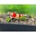 Crystal red a/s grade - Gruppe von 10