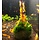 Normal gold shrimp - group of 10