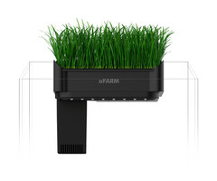 Collar Collar Afarm
