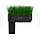 Collar Afarm