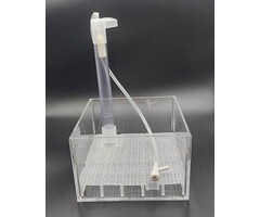 Shrimps Affair Shrimps Affair UGF set