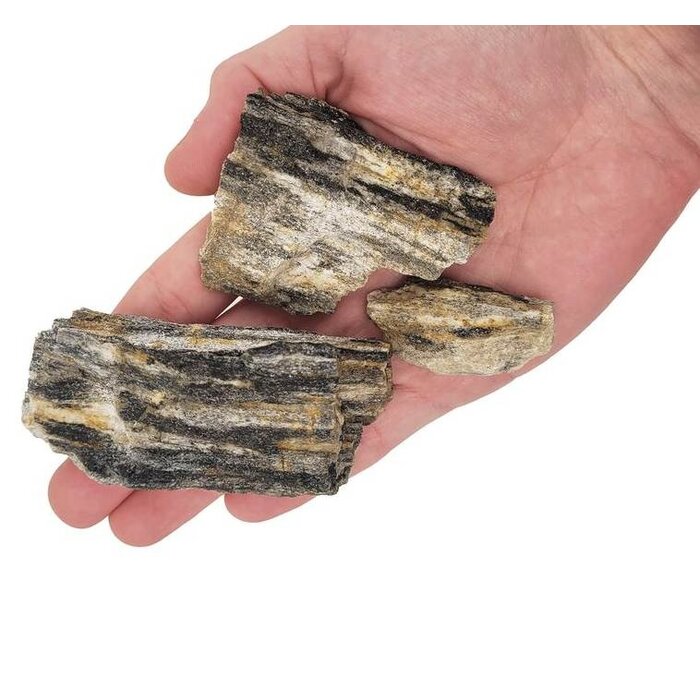 Wio Nano Fossil Grey Rocks