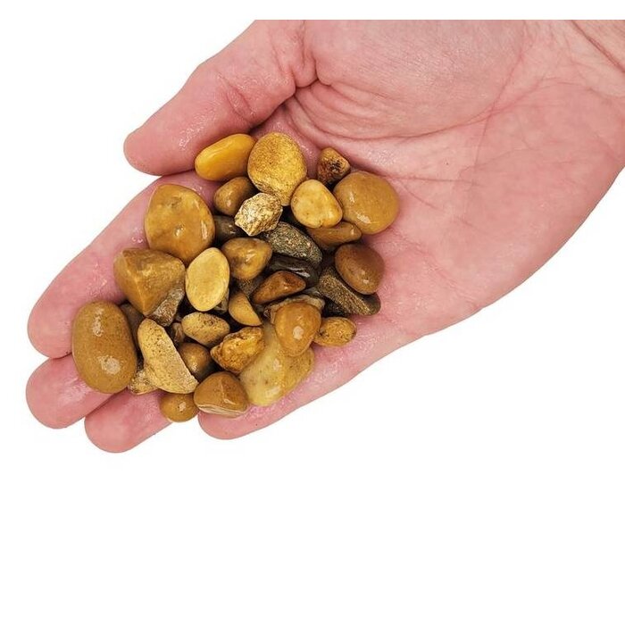 Wio Bumblebee Gravel