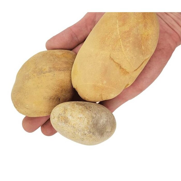 Wio Bumblebee Boulder S