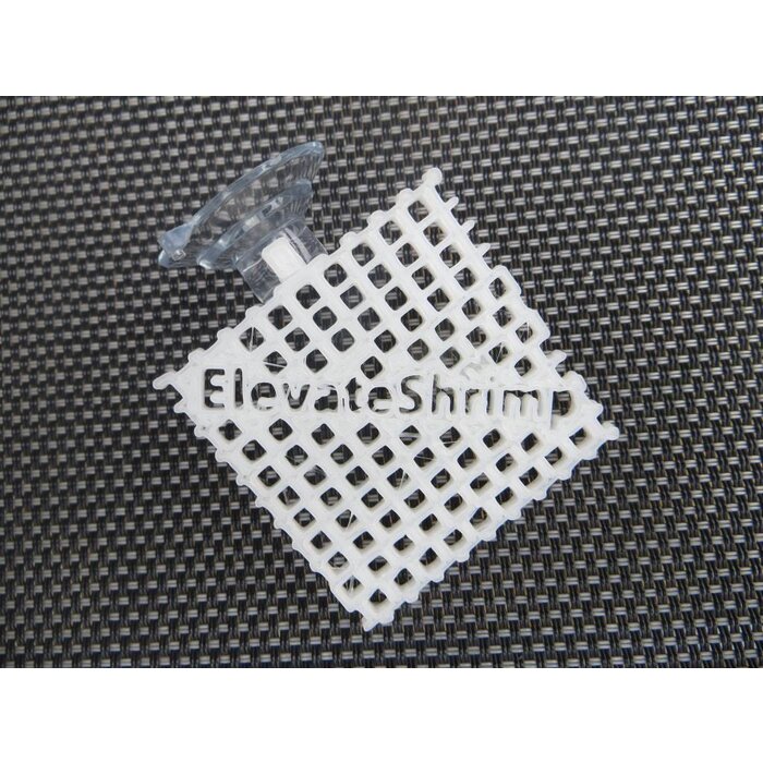 Onlineaquarium spullen Ledge 5 centimeter vierkant