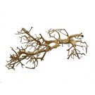 Tantora Tantora drift branch wood