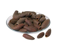 Onlineaquarium spullen Savu pods / Jequitiba 6-9cm