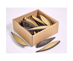 Onlineaquarium spullen Canoinhas pods 10-14cm