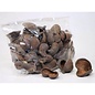 Onlineaquarium spullen Badam nut 5-8cm
