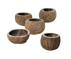 Onlineaquarium spullen Half coconut 8-10cm