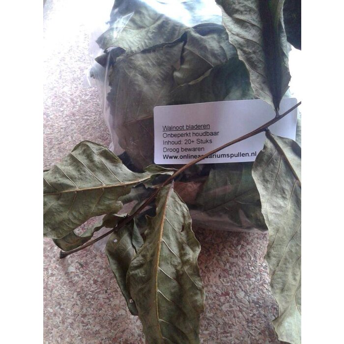 Onlineaquarium spullen Walnut leaves