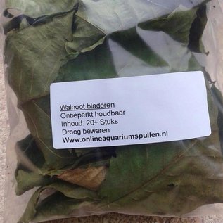 Onlineaquarium spullen Walnut leaves