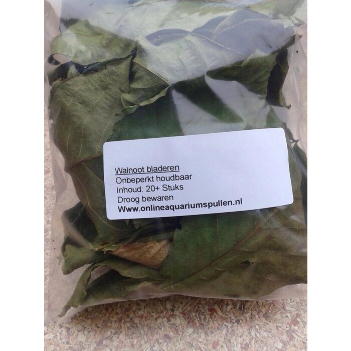 Onlineaquarium spullen Wallnussblätter