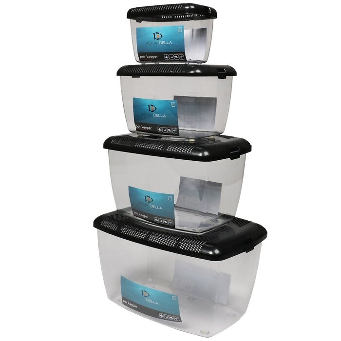 Aqua Della Aqua della Tierbox medium