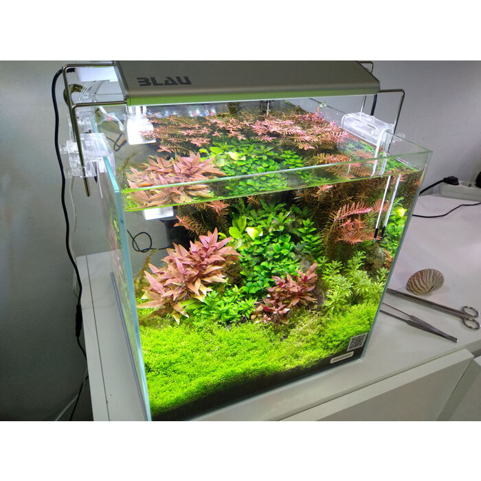 BLAU aquaristic BLAU Mini Lumina 60 RGB+
