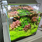 BLAU aquaristic BLAU Mini Lumina 60 RGB+